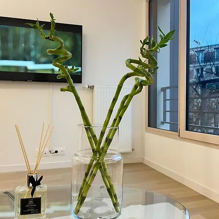 Apartment Seemingly Spacious Modern & Bright Chic Paris
